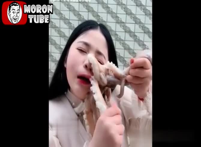 Video :An octopus-themed erotica goes awry!
